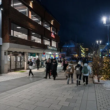 公寓式酒店 Arctic Homes -