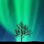 Arctic Homes - Aparthotel