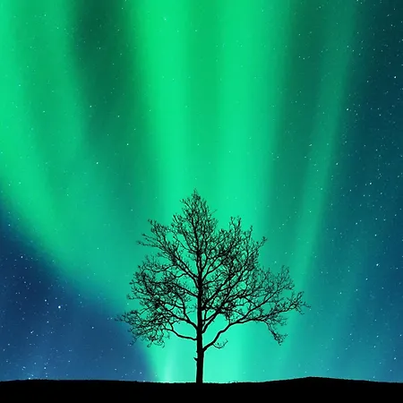 Arctic Homes - Leilighetshoteller