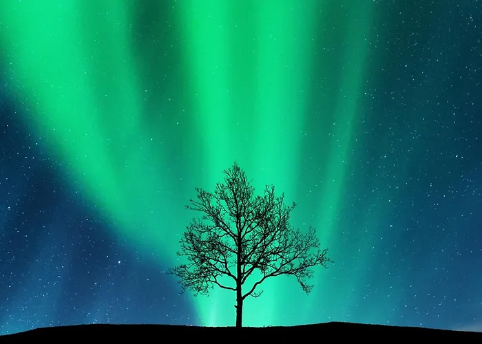 Arctic Homes - Aparthotel